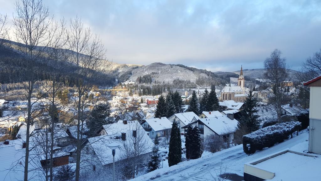 Hochschwarzwald Ferienwohnung تيتيسي نيوستادت المظهر الخارجي الصورة