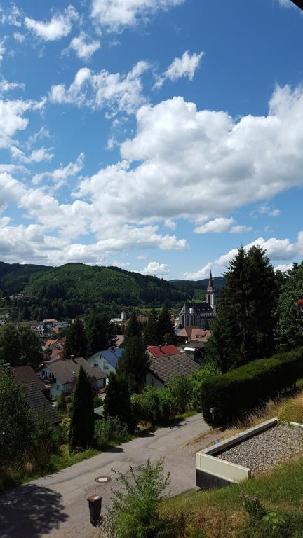 Hochschwarzwald Ferienwohnung تيتيسي نيوستادت المظهر الخارجي الصورة